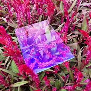 AG玻璃和AR玻璃的區別是什么？